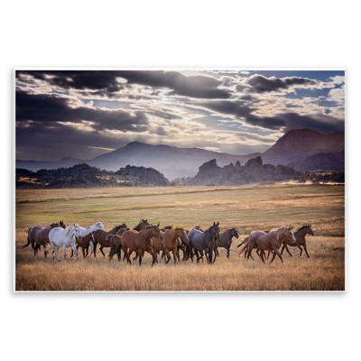 Stupell Industries Galloping Horses Cloudy Mountains Wall Plaque Art