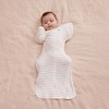 Love To Dream Swaddle UP Transition Bag Adaptive Original Swaddle Wrap - Dreamer - 3 of 4
