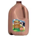 Kemps Skim Chocolate Milk - 1gal