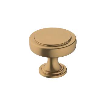 Amerock Exceed Cabinet or Furniture Knob