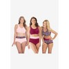 Comfort Choice Women's Plus Size Full Coverage Stretch Cotton Color Block Brief 3-Pack - 4 of 4