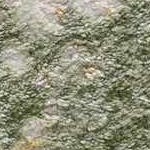 cream, green