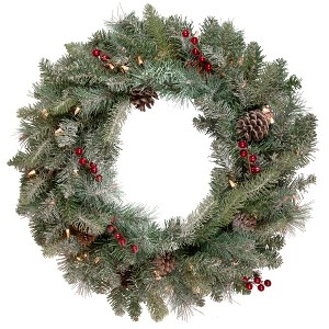 Northlight Pre-Lit Snowy Waterloo Pine Artificial Christmas Wreath - 24-Inch, Clear Lights - 1 of 4