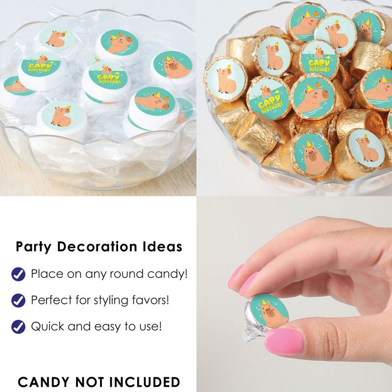 Big Dot of Happiness Capy Birthday - Capybara Party Small Round Candy Stickers - Party Favor Labels - 324 Count, 5 of 7