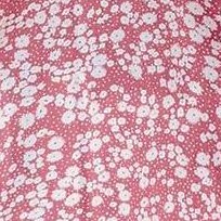 pink-white floral
