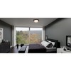 Quoizel Lighting Calliope 2 - Light Flush Mount in  Matte Black - 2 of 4