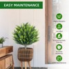 Artificial Topiary Tree with Ground Spike - 4 of 4