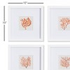 Plum & Post Branch Coral Petite Prints, Set Of 4 - 3 of 4