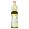 Bach Original Flower Remedies, Honeysuckle , 0.35 fl oz (10 ml) - 4 of 4