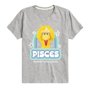 Boys' - Sesame Street - Pisces Big Bird Short Sleeve Graphic T-Shirt - 1 of 4