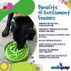 Garden Design eTray Enrichment Shallow Slow Feeder Dog Bowl - 3 of 4