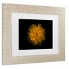 Trademark Fine Art - Brian Carson Backyard Flowers 79 Matted Framed Art - 3 of 4