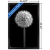 Trends International Tom Quartermaine - Black and White Dandelion Framed Wall Poster Prints - 3 of 4