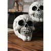 HalloweenCostumes.com  Large Realistic Skull 12-Pack Halloween Party Decoration Set, Black/Brown - 3 of 4