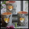 Northlight Gray and White LED Lighted Flickering Rustic Birch Candles Canvas Wall Art 12" x 12" - 3 of 4