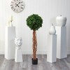 4.5' Indoor/Outdoor English Ivy Single Ball Artificial Topiary Tree with Natural Trunk - Nearly Natural: UV-Resistant Faux Floor Plant - 2 of 4