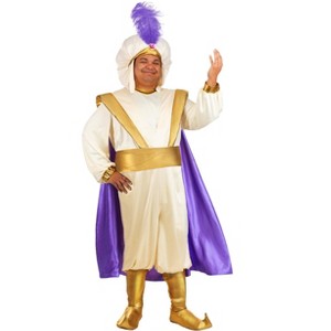 HalloweenCostumes.com Plus Size Men's Disney Aladdin Prince Ali Costume | Officially Licensed Shirt,  Cape, Turban, and Shoe Covers - 1 of 4