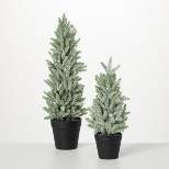 Artificial Snowy Pine Tree In Pots Green 16"H  Set of 2