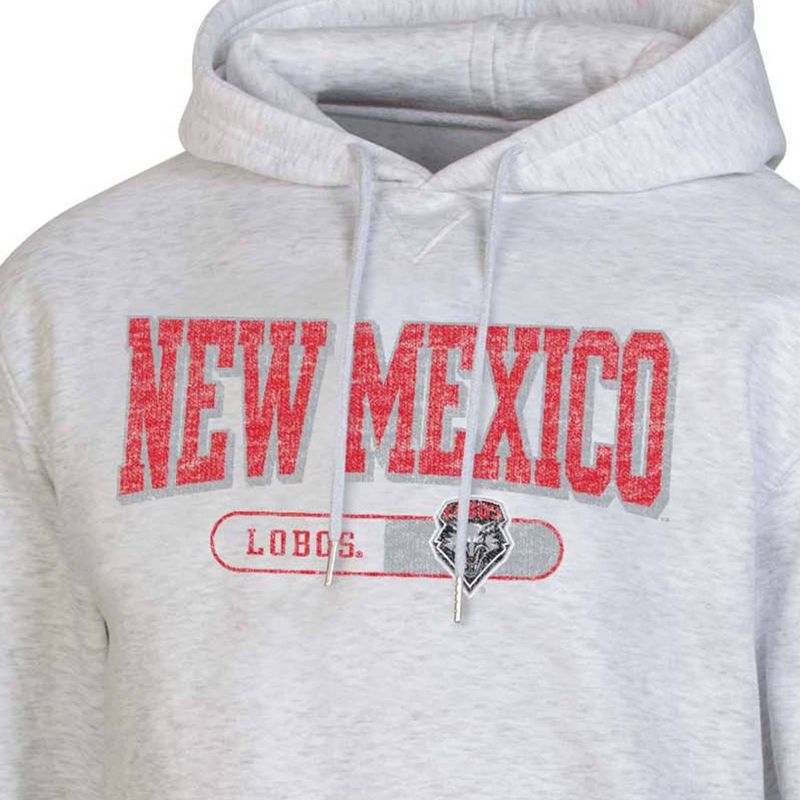 NCAA New Mexico Lobos Gray Fleece Hooded Sweatshirt, 3 of 4