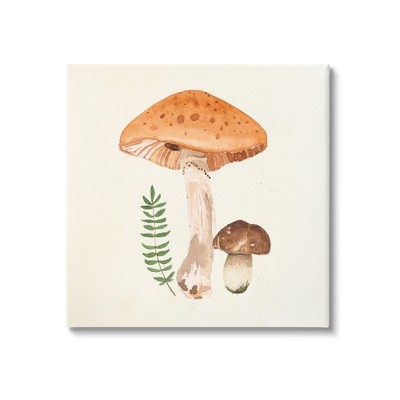 Stupell Industries Woodland Mushroom Botanical Fern Gallery Wrapped Canvas Wall Art