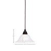 Toltec Lighting Any 1 - Light Pendant in  Dark Granite with 10" Frosted Crystal  Shade - 2 of 2