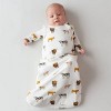 Kyte Baby Sleep Bag Wearable Blanket 1.0 Tog - 3 of 4
