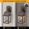 C Cattleya 2-Pack 14in Oil-Rubbed Bronze Outdoor Wall Lantern with Seeded Glass Shade - 3 of 4