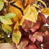 XL Fall Leaf Statement Arrangement - Threshold™ designed with Studio McGee - 3 of 4