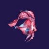 Junior's Design By Humans Betta Fish By GisaPizzatto T-Shirt - 2 of 3