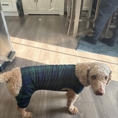 Guest review image 1 of 1, zoom in