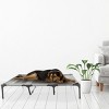 Elevated Dog Bed - 48x35.5-Inch Portable Pet Bed with Non-Slip Feet - Indoor/Outdoor Dog Cot or Puppy Bed for Pets up to 110lbs by PETMAKER (Gray) - 2 of 4