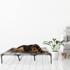 Pet Adobe Portable Raised Pet Bed with Nonslip Feet - Gray - image 2 of 4