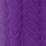 purple orchid