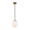 Z-Lite Parsons 1 - Light Pendant in  Matte Black/Olde Brass - 3 of 4