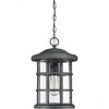 Quoizel Lighting Crusade 1 - Light Pendant in  Earth Black - image 3 of 4