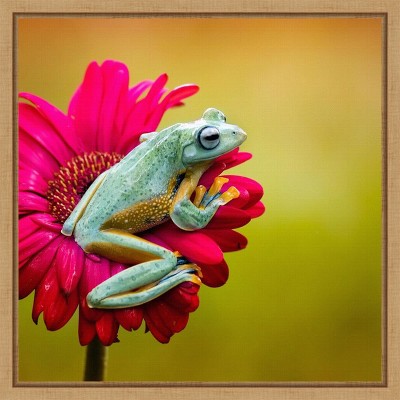 Amanti Art Pretty Frog on Pink Flower by Fauzan Maududdin Canvas Wall Art Print Framed 16 x 16-in.