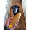 Corn on the Cob eChew Ultra Durable Nylon Dog Chew Toy - 3 of 4