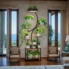 8 Tiered Walnut Wood Plant Stand,Indoor Tall Plant Stand With Grow Light,S-Shaped Corner Plant Planter For Living Room Patio-Coolbibila - 3 of 4