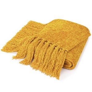 PAVILIA Chenille Throw Blanket with Woven Knitted Tassel Fringe for Couch, Living Room Decor and Bed - 1 of 4