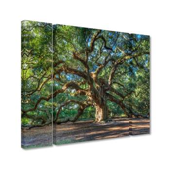 Trademark Fine Art -QVC ONLY Lavish Home Pierre Leclerc 'Angel Oak Charleston' Multi Panel Art Set Large