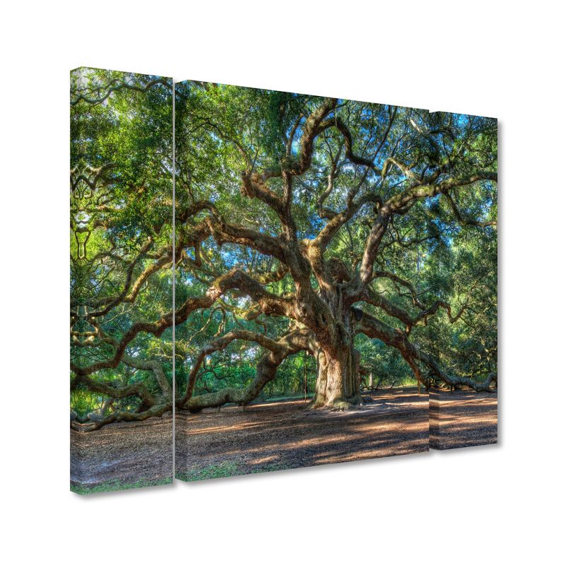 Trademark Fine Art -QVC ONLY Lavish Home Pierre Leclerc 'Angel Oak Charleston' Multi Panel Art Set Large, 1 of 4
