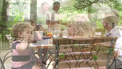 Chestnut Brown Folding Bistro Dining Chairs with Steel Frame - Set of 2