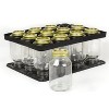 Superb Sealing Solutions Canning Jars with Lids and Bands, Pint Size Regular Mouth Clear Glass Mason Preserving Jars, USA Made, 12 Pack - 2 of 4