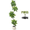 Artificial Fiddle Leaf Fig Tree with Sphere Planter, Tall Faux Rubber Tree with Moss for Indoor Home, Office, or Living Room Decor - 3 of 4