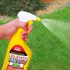 Dr earth final stop yard and garden insect killer reviews Final Stop Vegetable Vs Final Stop Pest Control Youtube