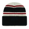 NFL Arizona Cardinals Vista Knit Beanie: Sports Team Logo, Adult One Size - 2 of 2