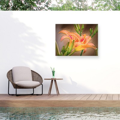 Trademark Fine Art - Leslie Montgomery A Gift From the Orient Matted Framed Art