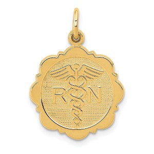 Black Bow Jewelry 14k Yellow Gold Registered Nurse Disk Charm, 16mm - 1 of 4