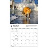 BrownTrout 2025 Wall Calendar 12"x14" Foxes WWF - image 3 of 4