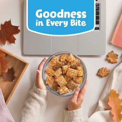 Kellogg's Frosted Mini-Wheats Pumpkin Spice Breakfast Cereal - 20oz